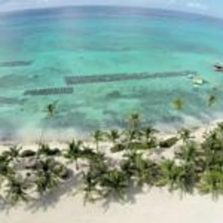 Appartement Cadaques Caribe Pez 103 à Bayahibe