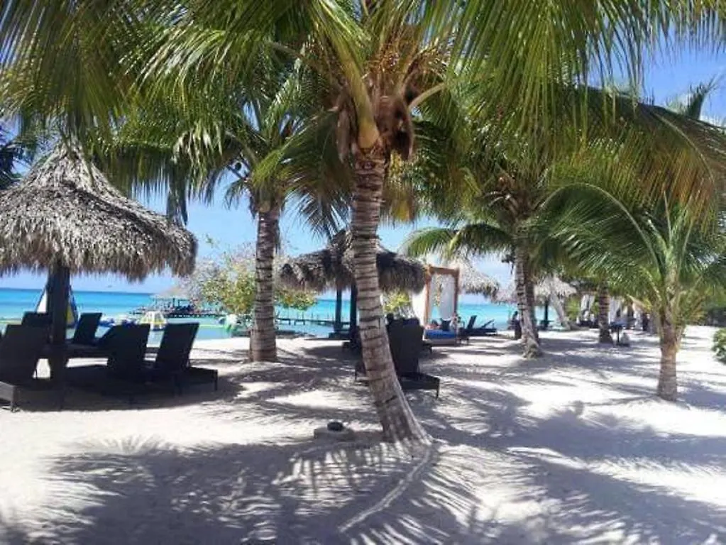 Appartement Cadaques Caribe Pez 103 à Bayahibe 0*,